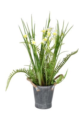 Vickerman Daffodil in Galvanized Pot