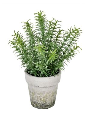 Vickerman Potted Green Plant