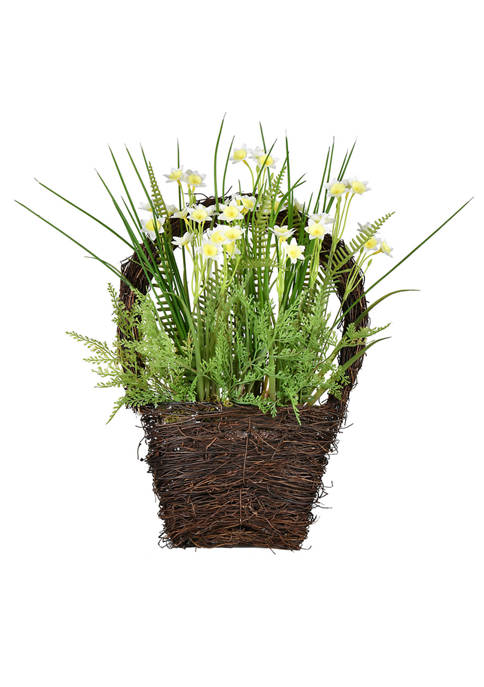 Daffodil in Basket
