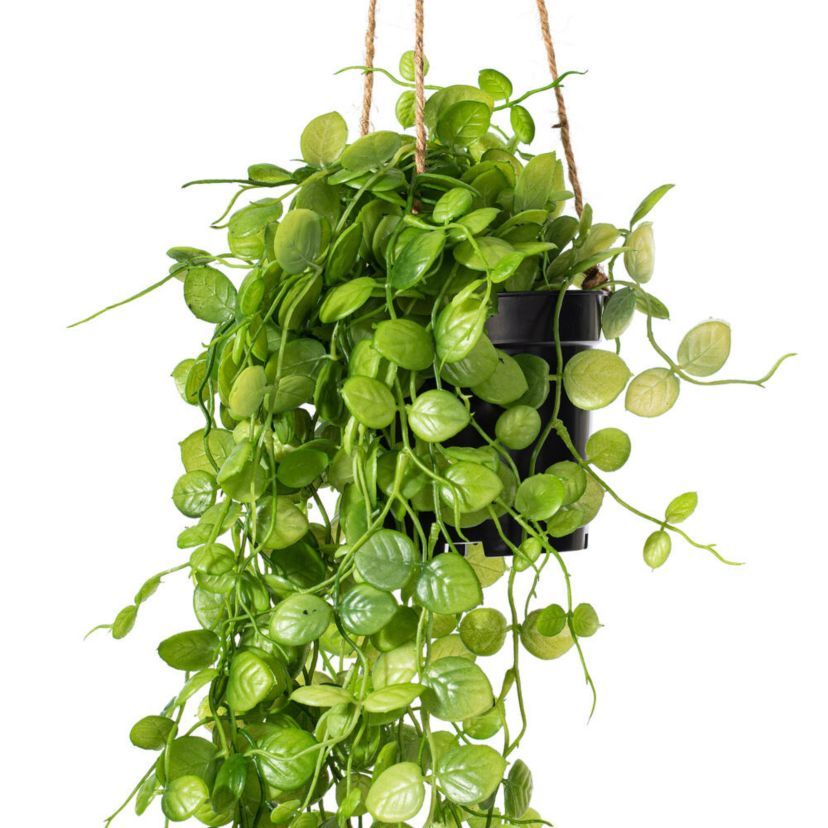 Vickerman 29" Artificial Green Mini Leaf Ivy in Hanging Pot.