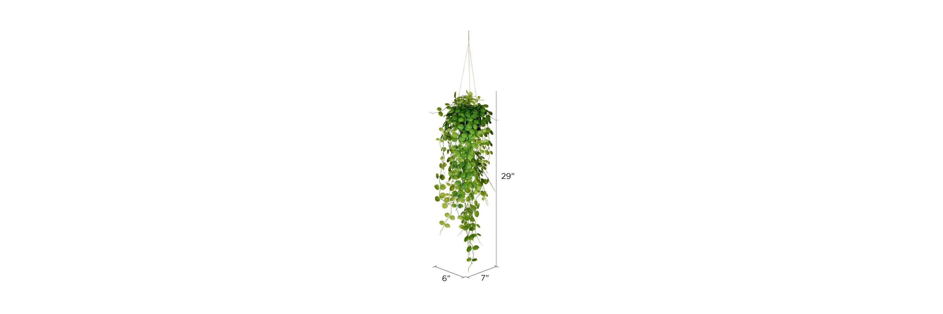 Vickerman 29" Artificial Green Mini Leaf Ivy in Hanging Pot.