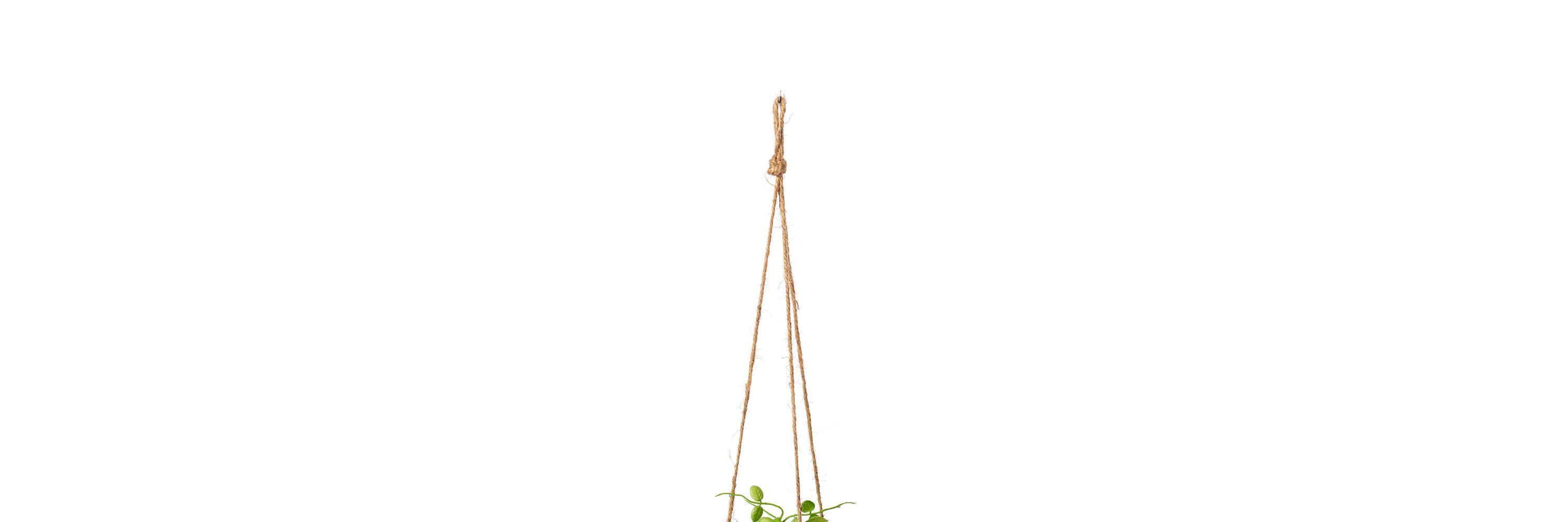 Vickerman 29" Artificial Green Mini Leaf Ivy in Hanging Pot.