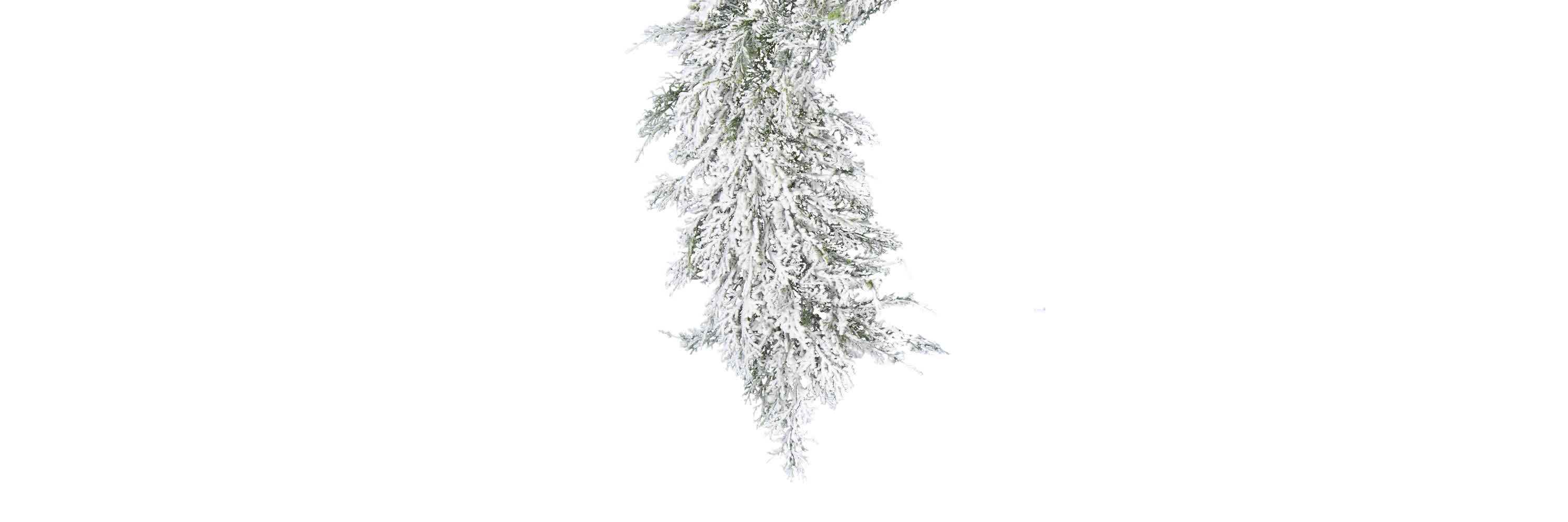 Vickerman 75" Artificial Snowy Cedar Garland.