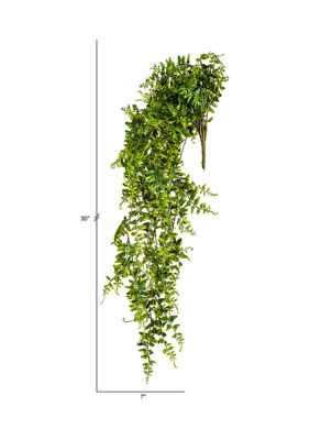 Green Butler Fern Vine