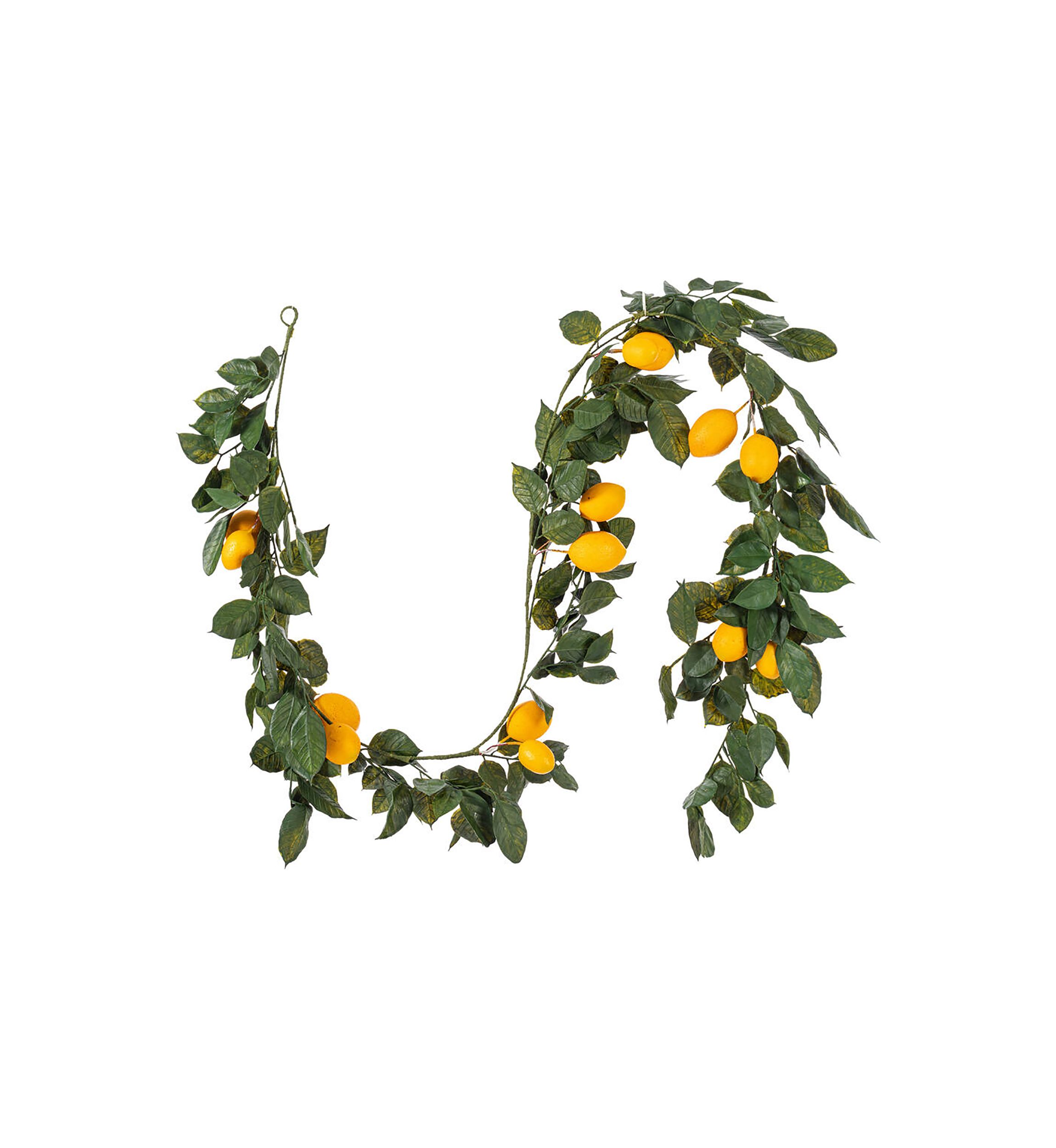 Vickerman 6 Artificial Green and Yellow Salal Leaf Lemon Garland.