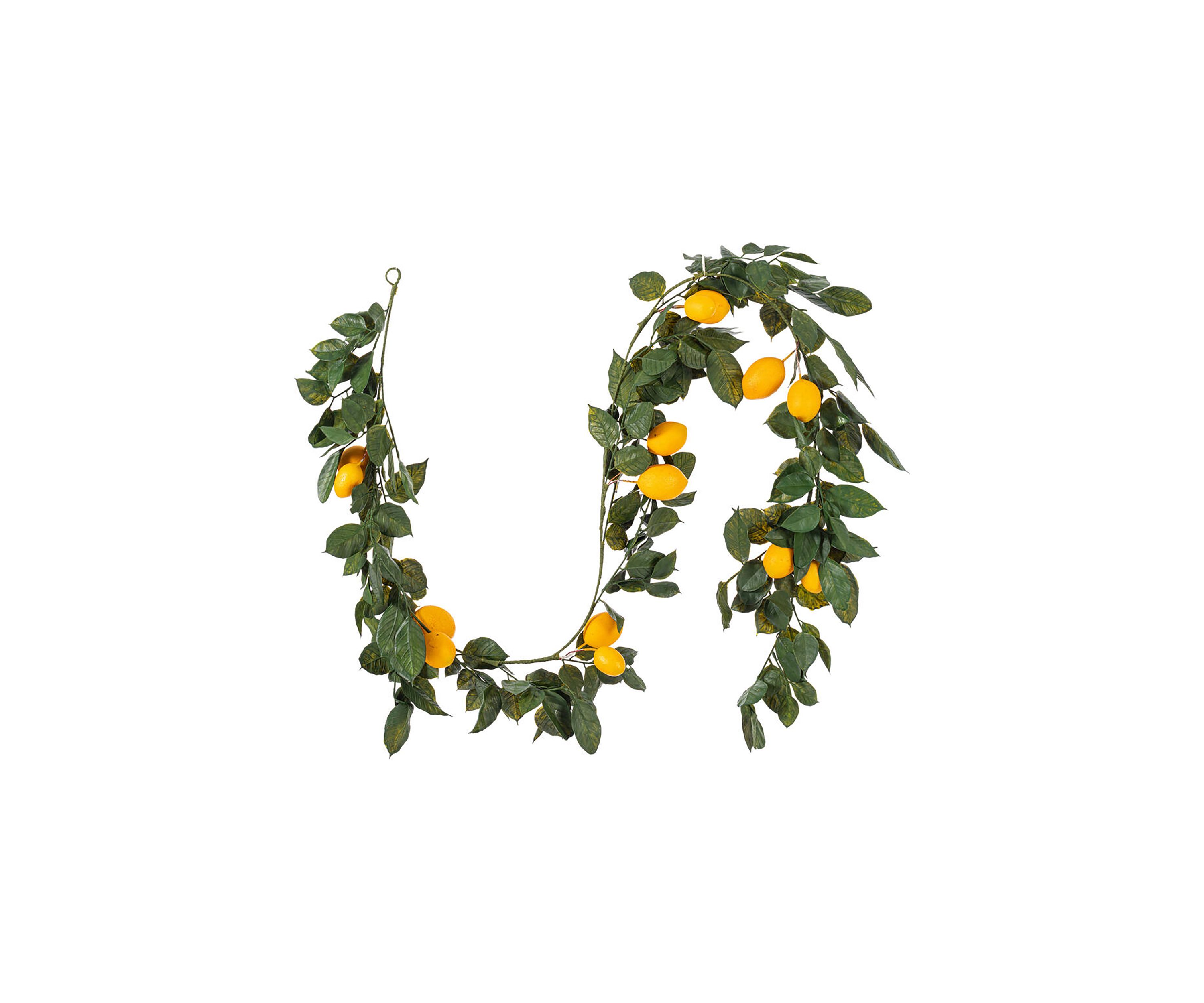 Vickerman 6 Artificial Green and Yellow Salal Leaf Lemon Garland.