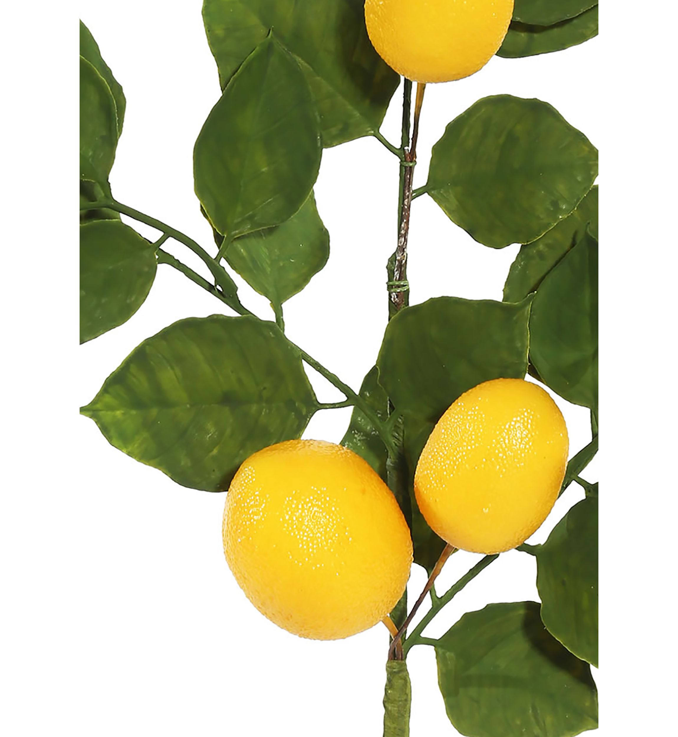 Vickerman 6 Artificial Green and Yellow Salal Leaf Lemon Garland.