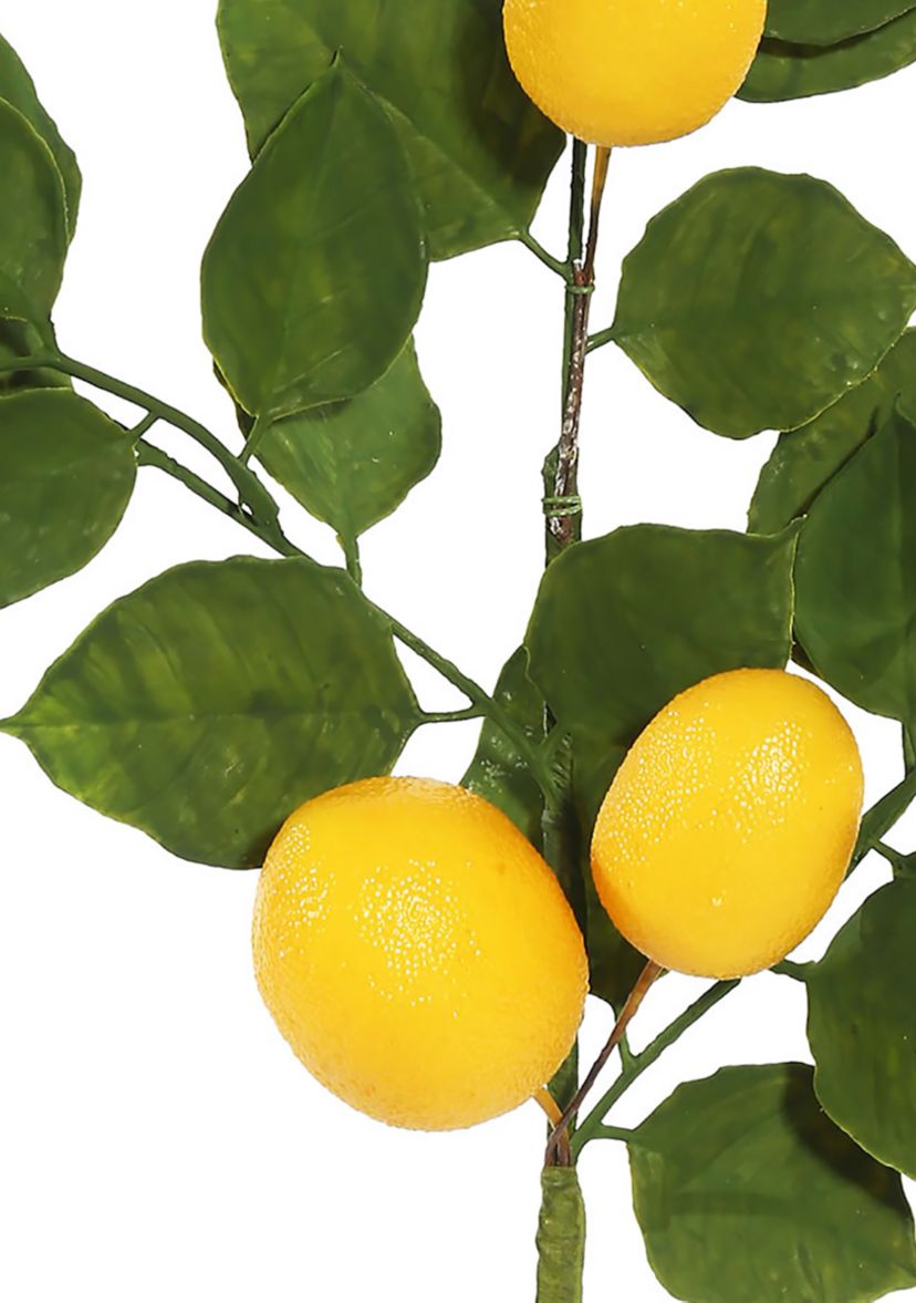 Vickerman 6 Artificial Green and Yellow Salal Leaf Lemon Garland.