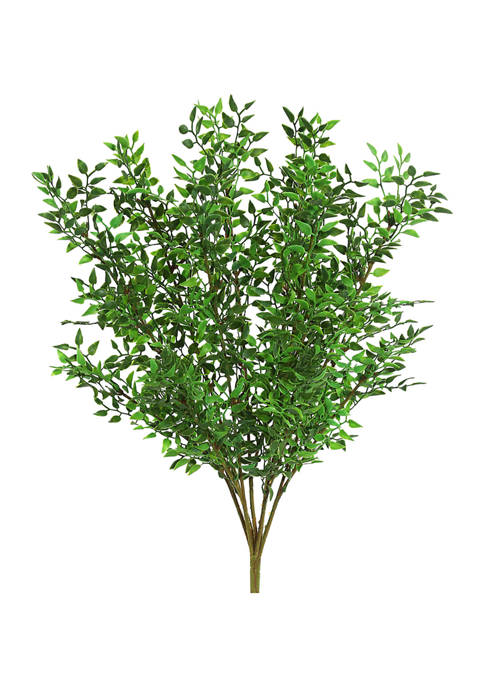 Green Mini Smilax Bush