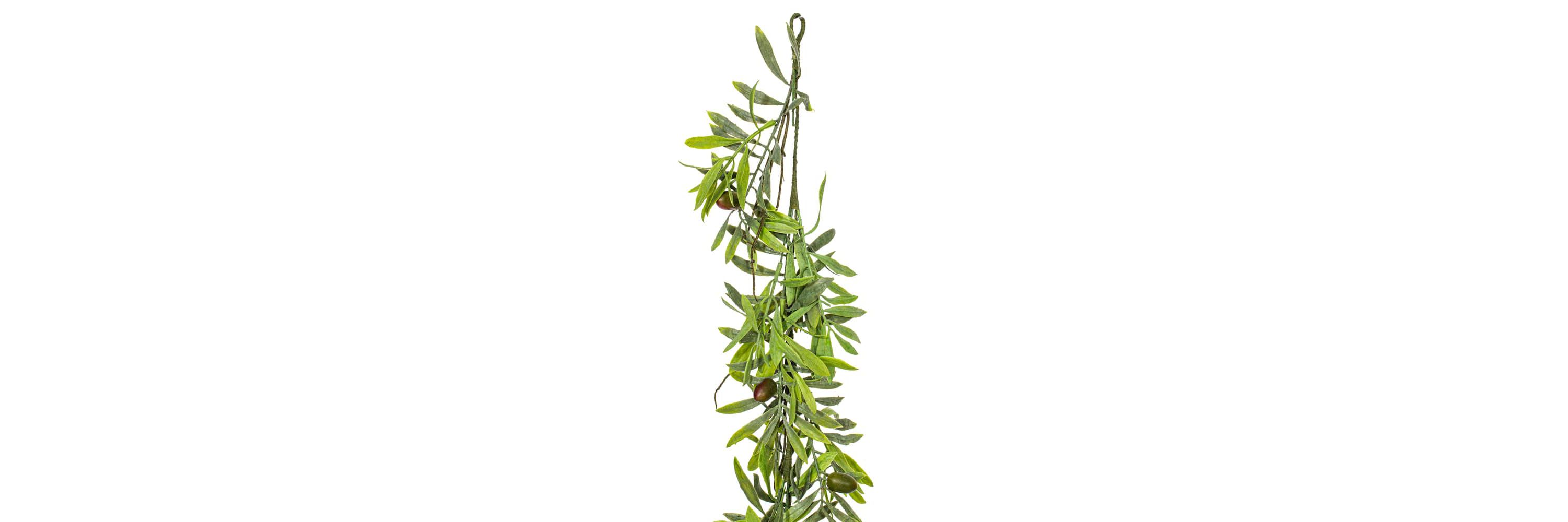 Vickerman 6 Artificial Green Olive Hill Garland.