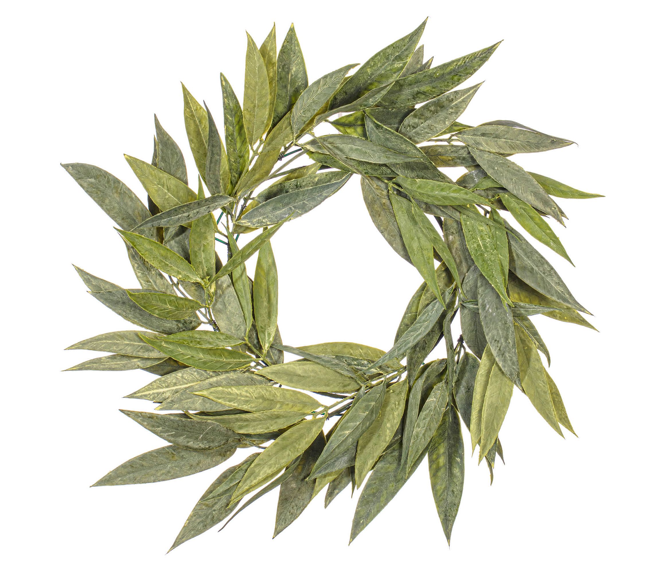 Vickerman 24" Artificial Green Muddy White Willow Wreath.