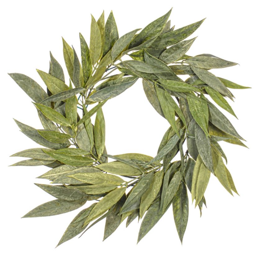 Vickerman 24" Artificial Green Muddy White Willow Wreath.