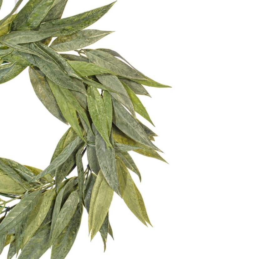 Vickerman 24" Artificial Green Muddy White Willow Wreath.