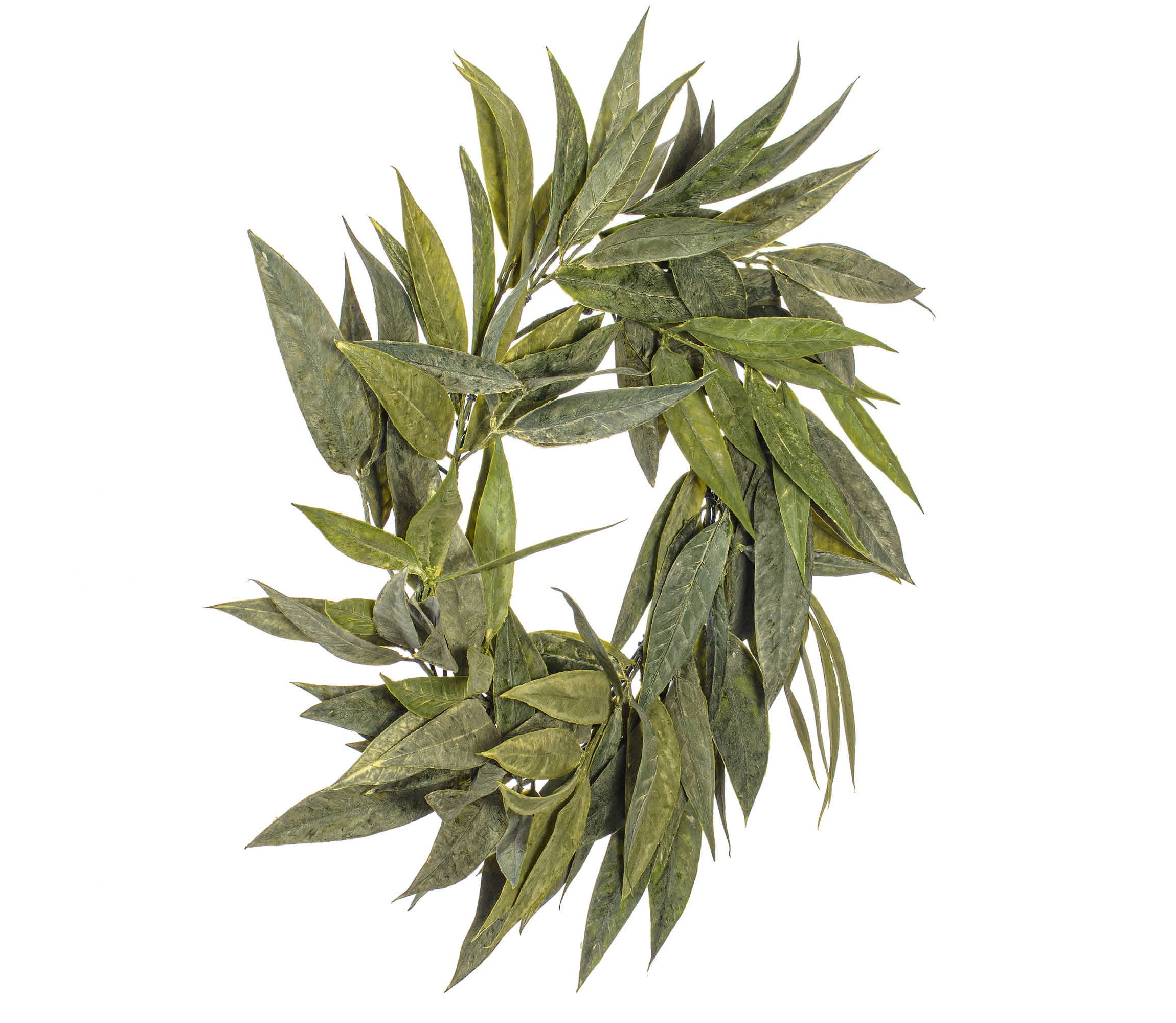 Vickerman 24" Artificial Green Muddy White Willow Wreath.