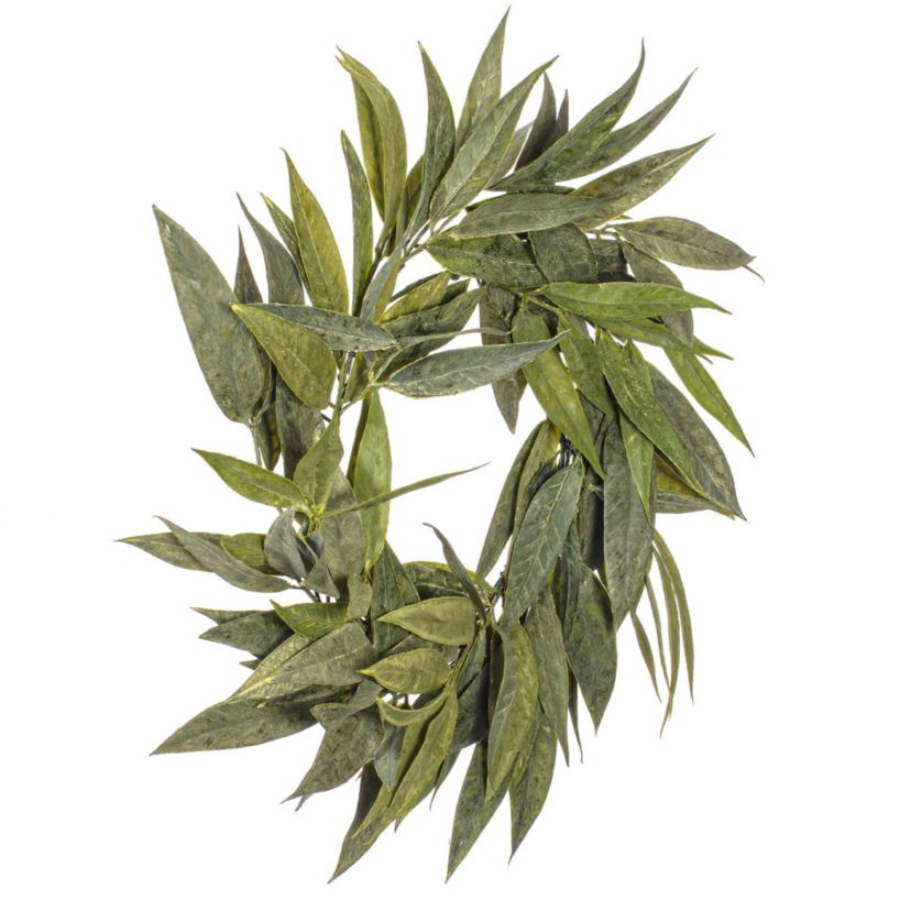 Vickerman 24" Artificial Green Muddy White Willow Wreath.