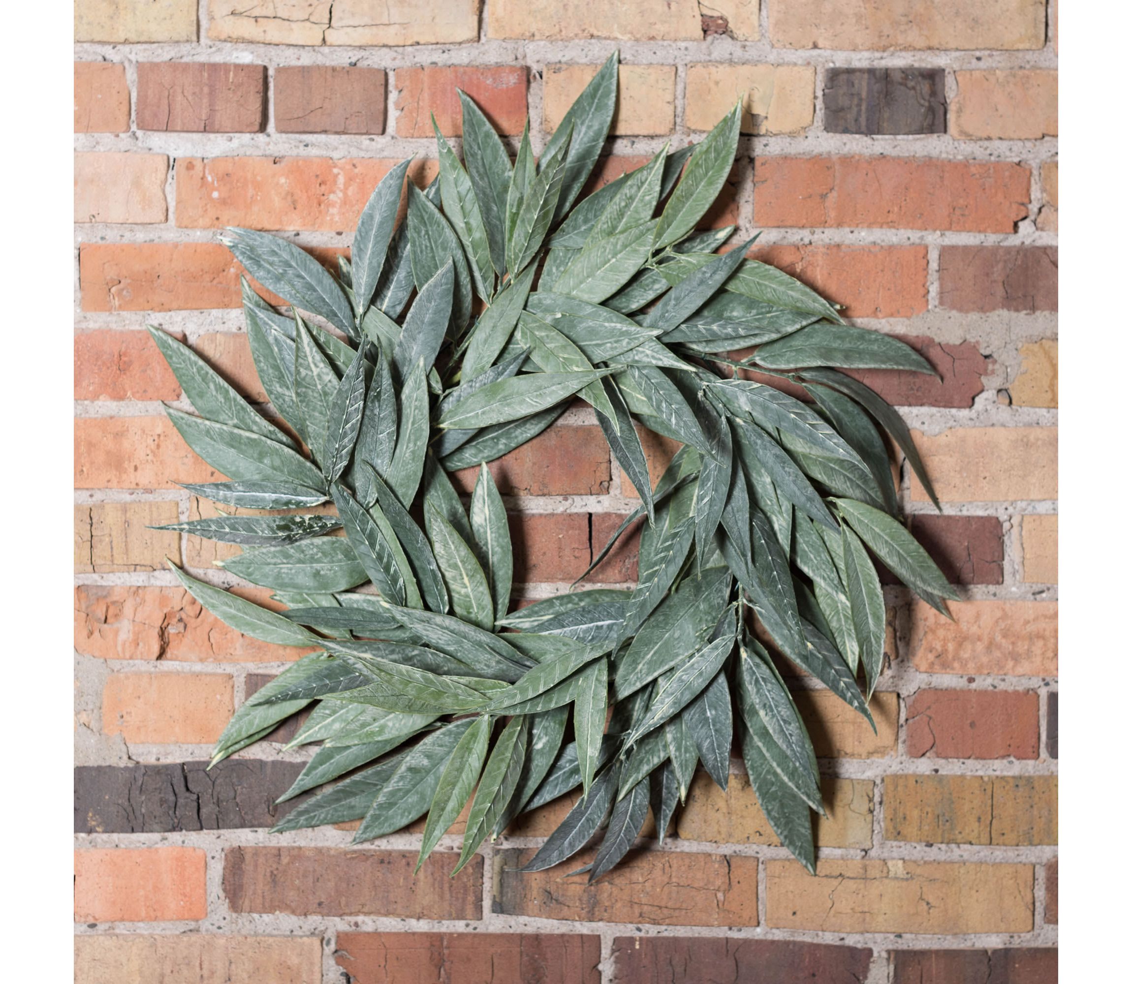Vickerman 24" Artificial Green Muddy White Willow Wreath.