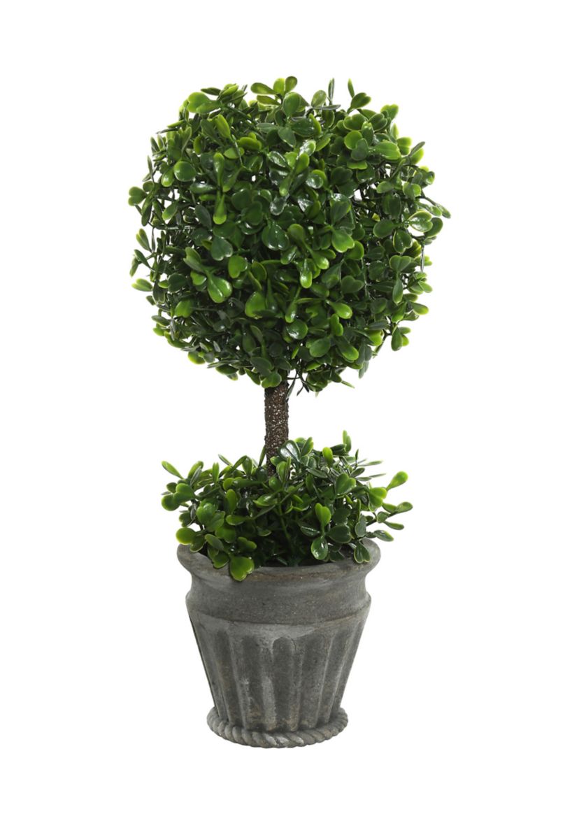 Green Boxwood Topiary