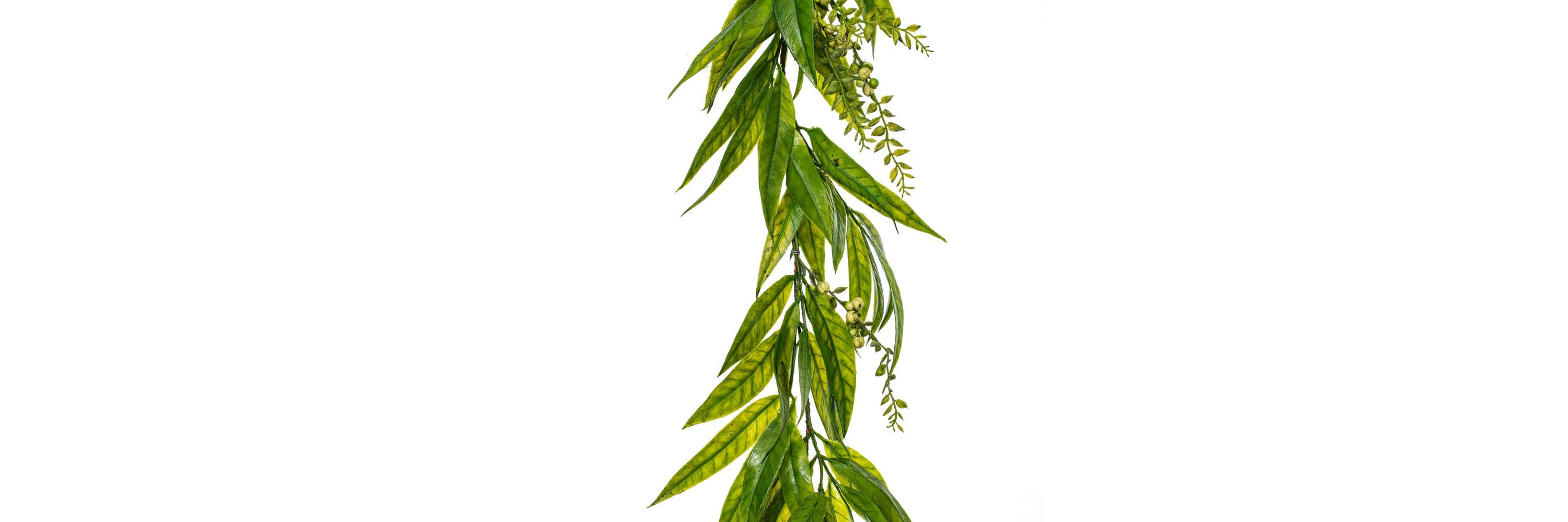 Vickerman 6 Artificial Green Willow Garland.