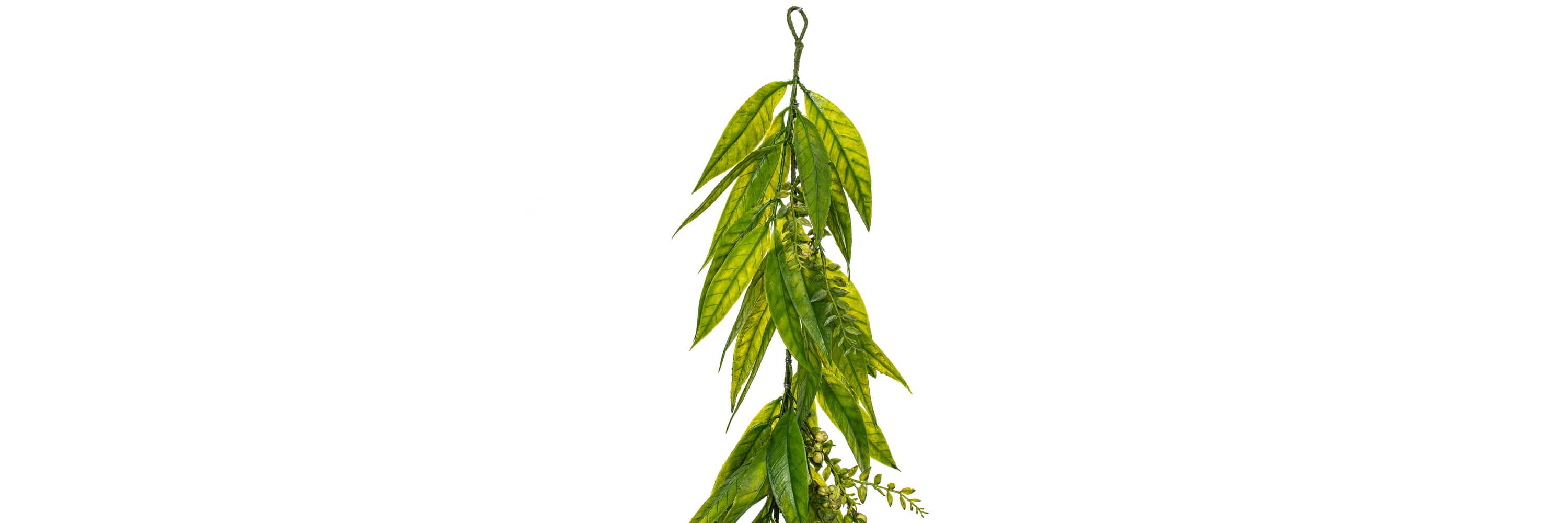 Vickerman 6 Artificial Green Willow Garland.