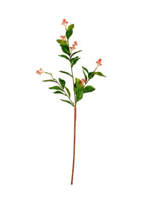 Vickerman Green Simmias Leaf with Flower Spray Set