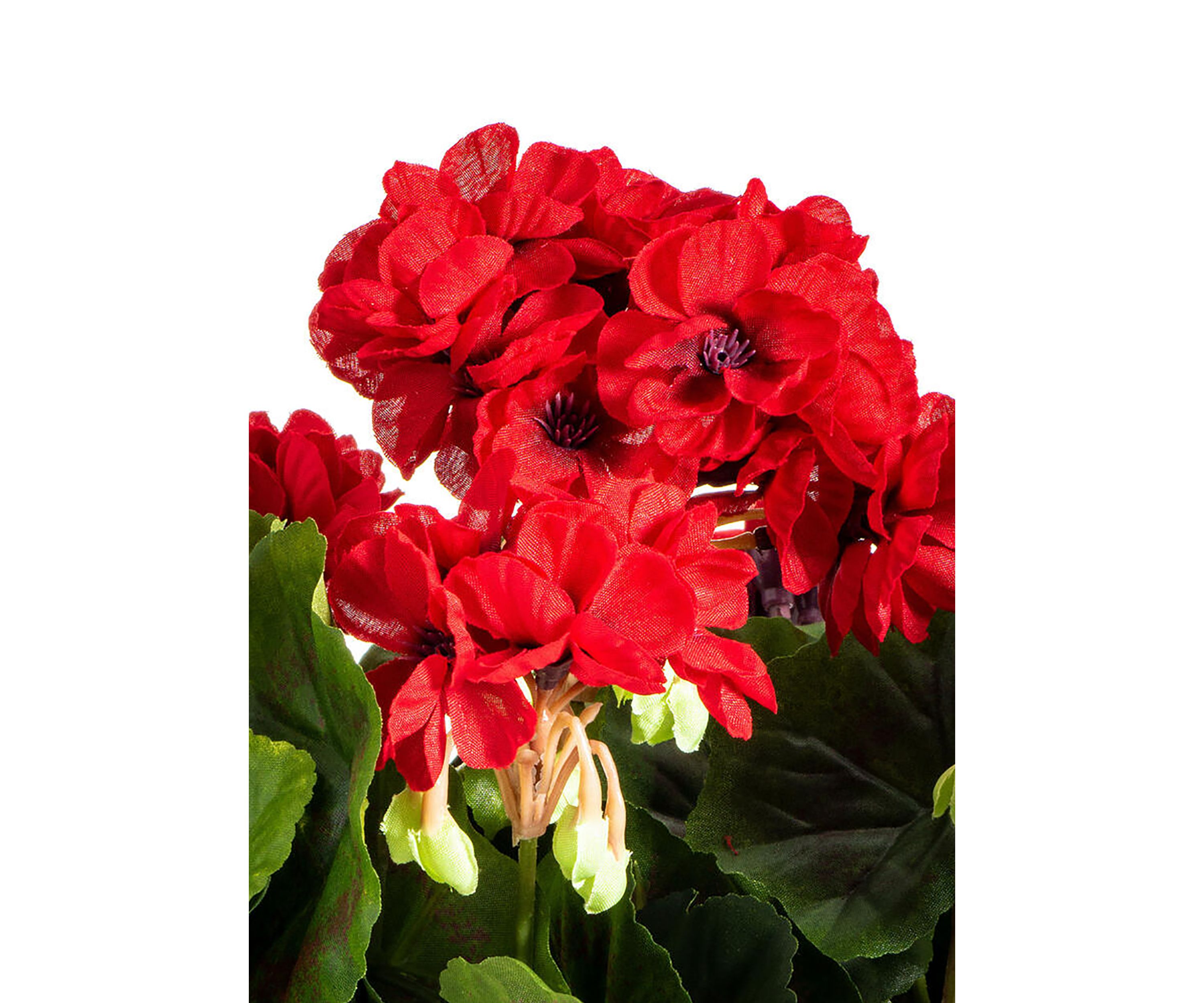 Red Polyester Geranium Bush