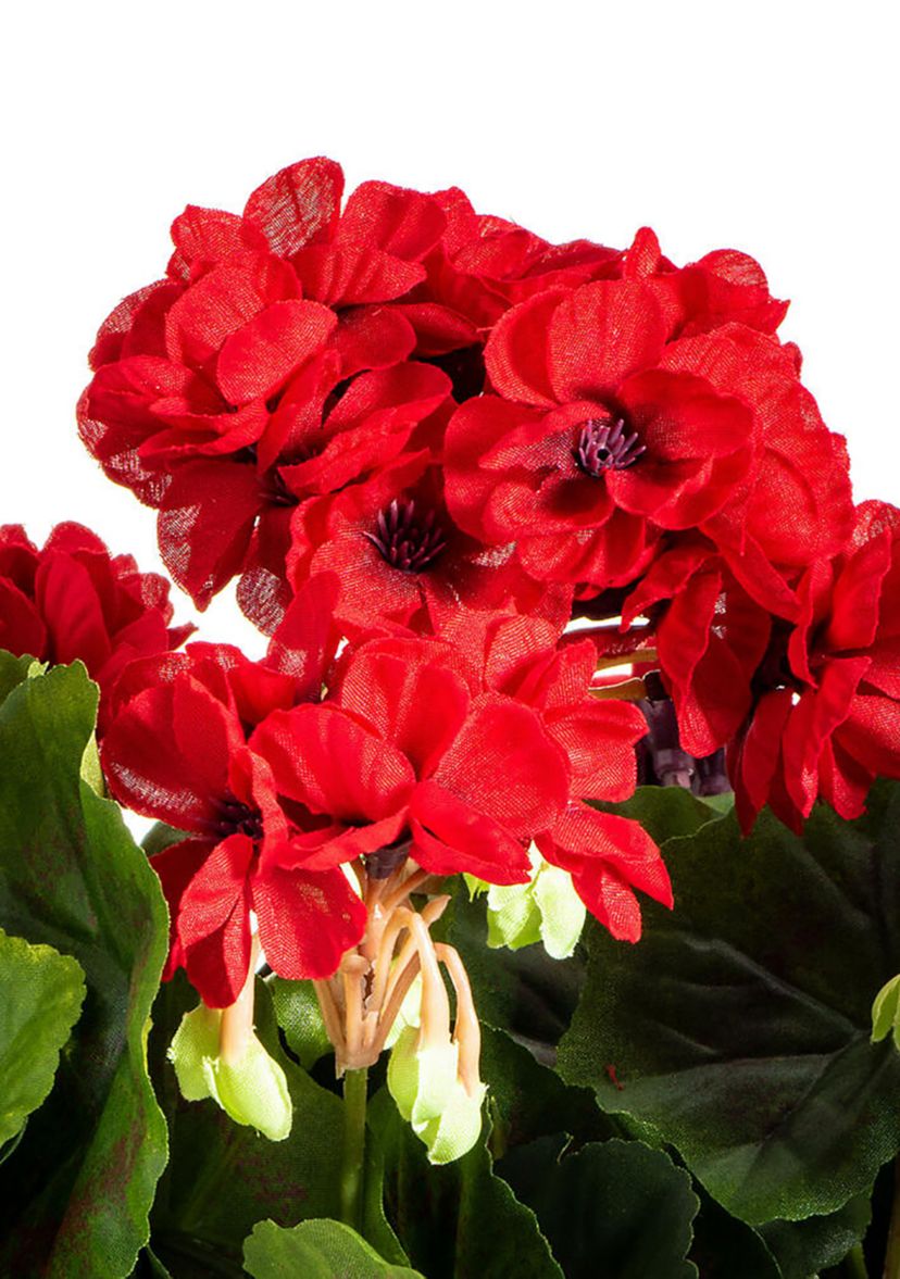 Red Polyester Geranium Bush