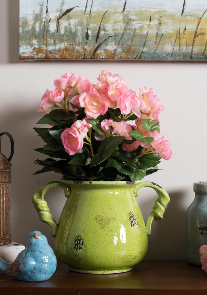 Light Pink Begonia Bush