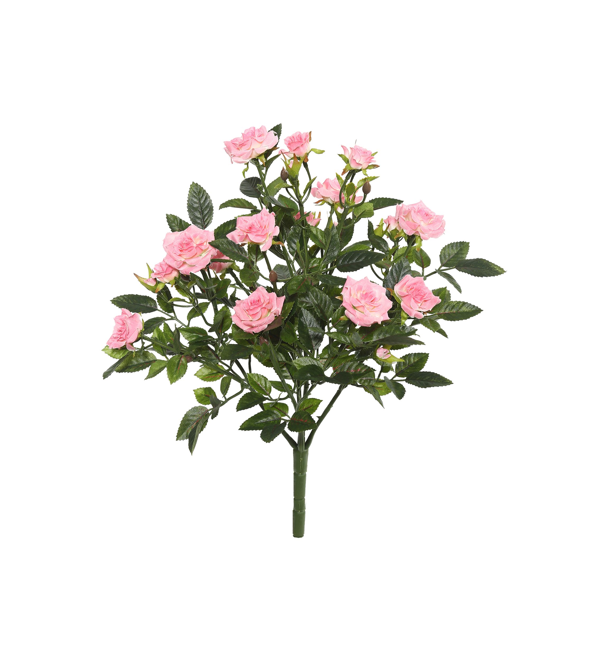 Light Pink Mini Diamond Rose Bush