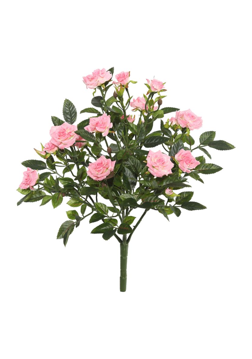 Light Pink Mini Diamond Rose Bush