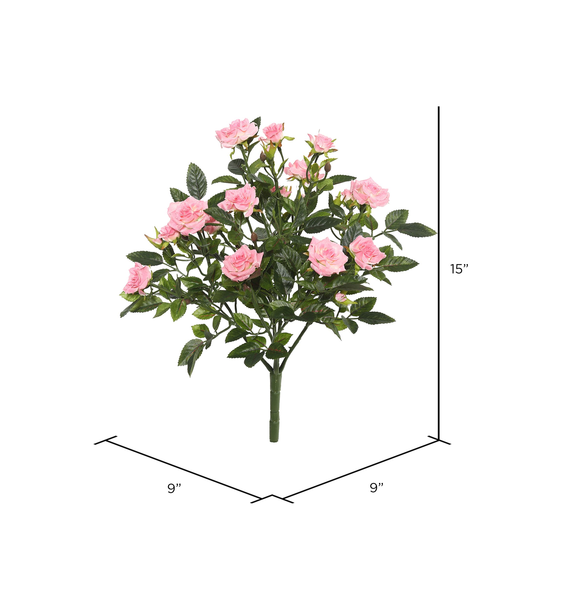 Light Pink Mini Diamond Rose Bush