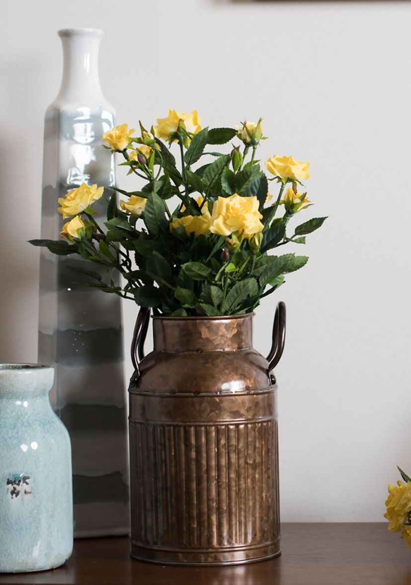 Yellow Mini Diamond Rose Bush