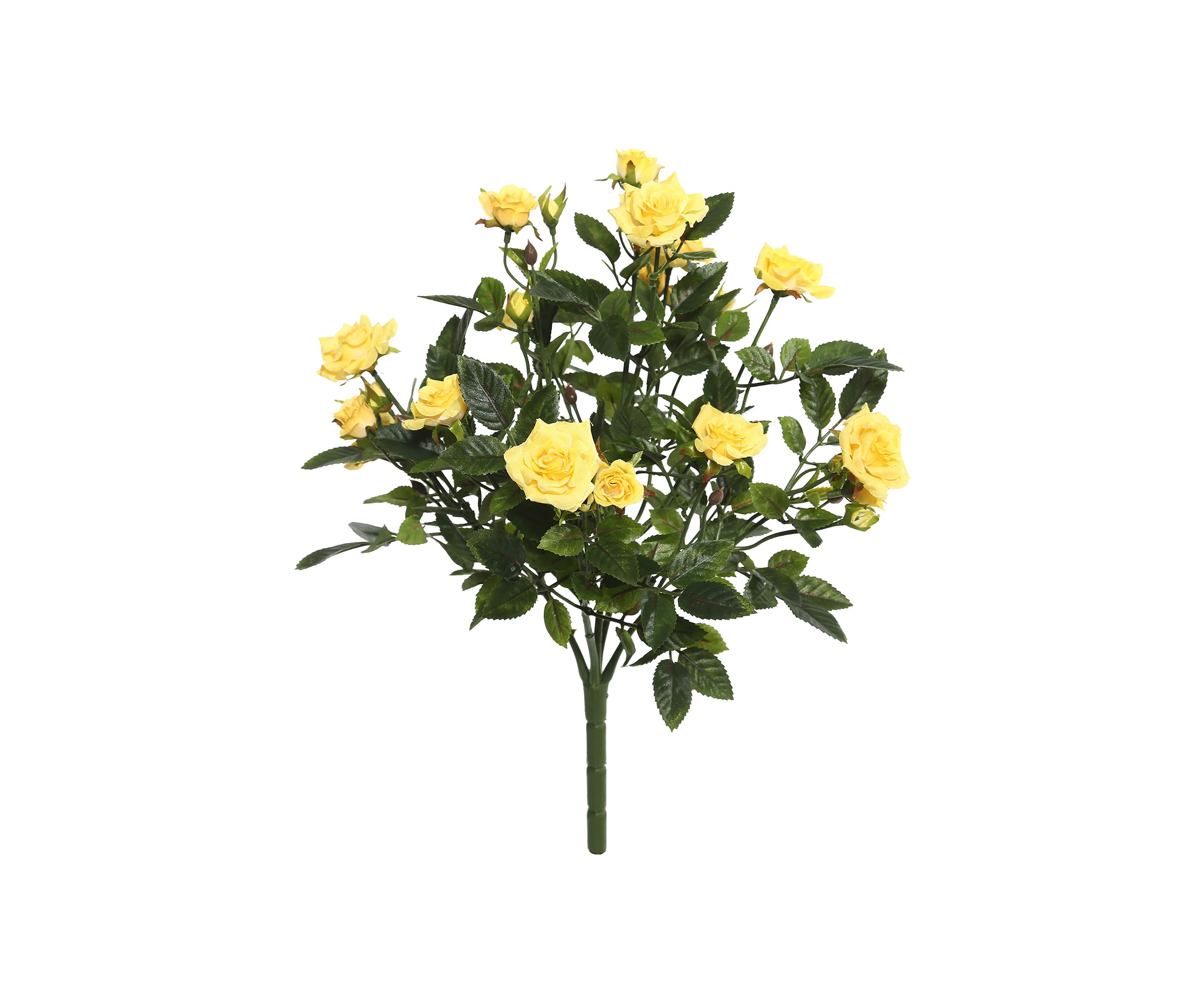Yellow Mini Diamond Rose Bush