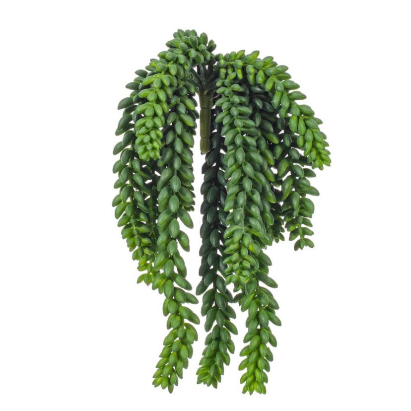 Vickerman 13" Plastic Artificial Green Donkey Tail Bush.