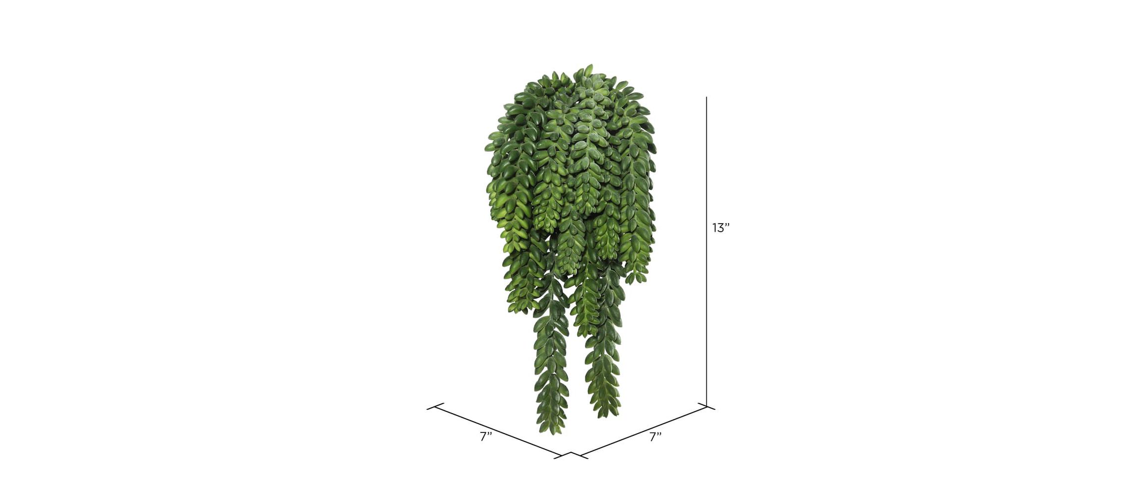Vickerman 13" Plastic Artificial Green Donkey Tail Bush.