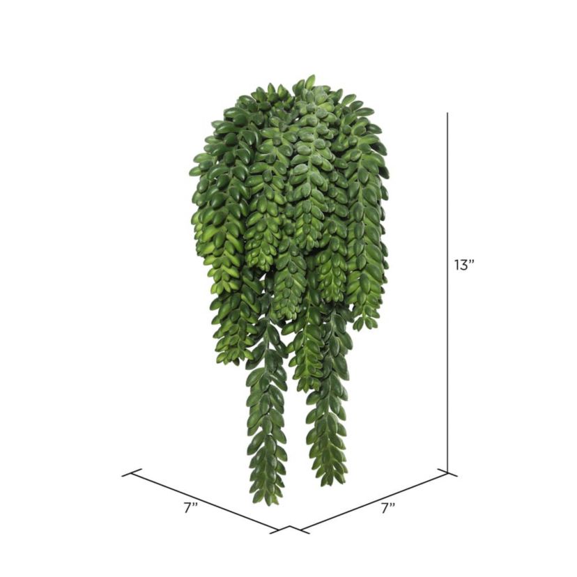 Vickerman 13" Plastic Artificial Green Donkey Tail Bush.