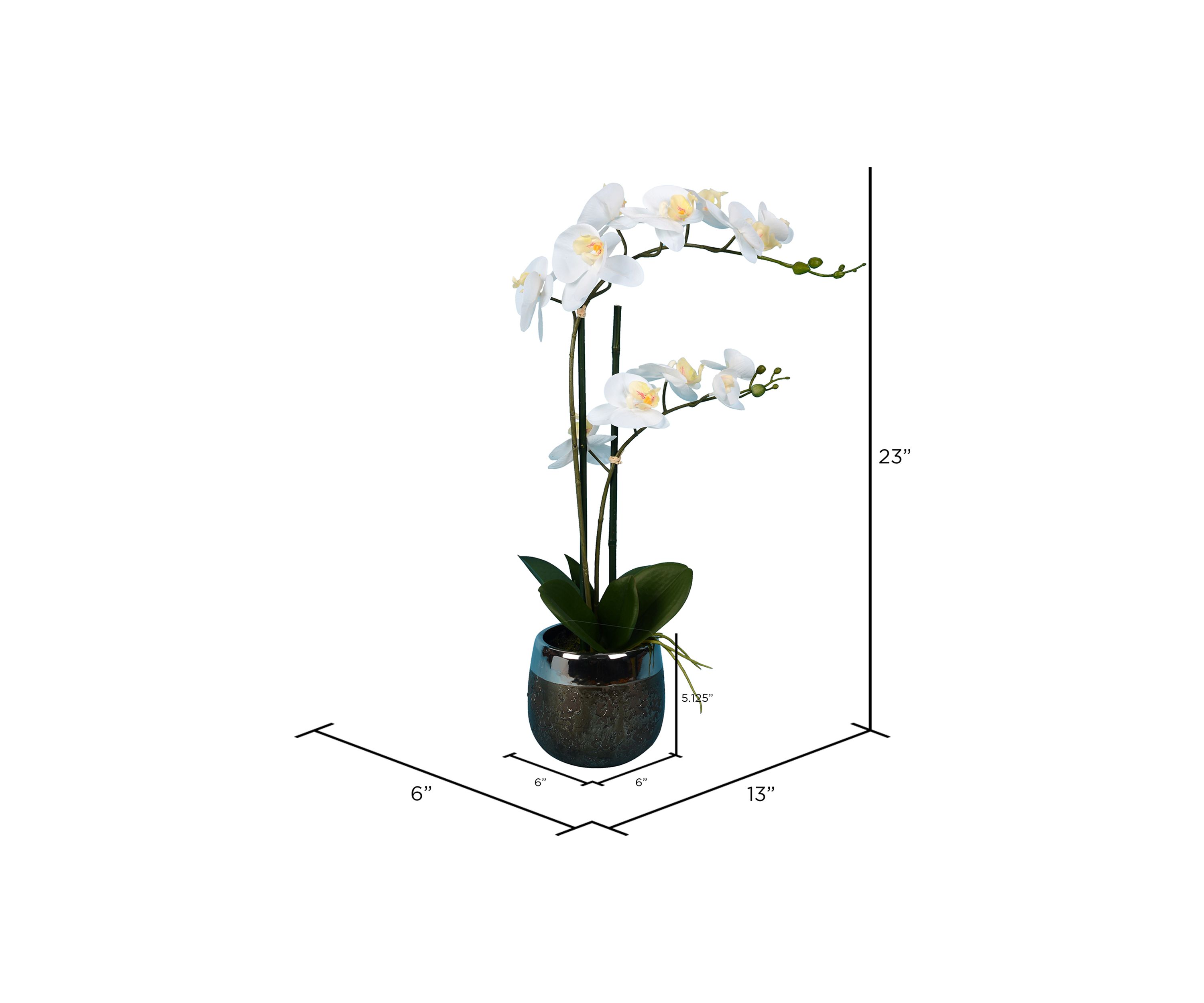 White Phalaenopsis In Metal Pot
