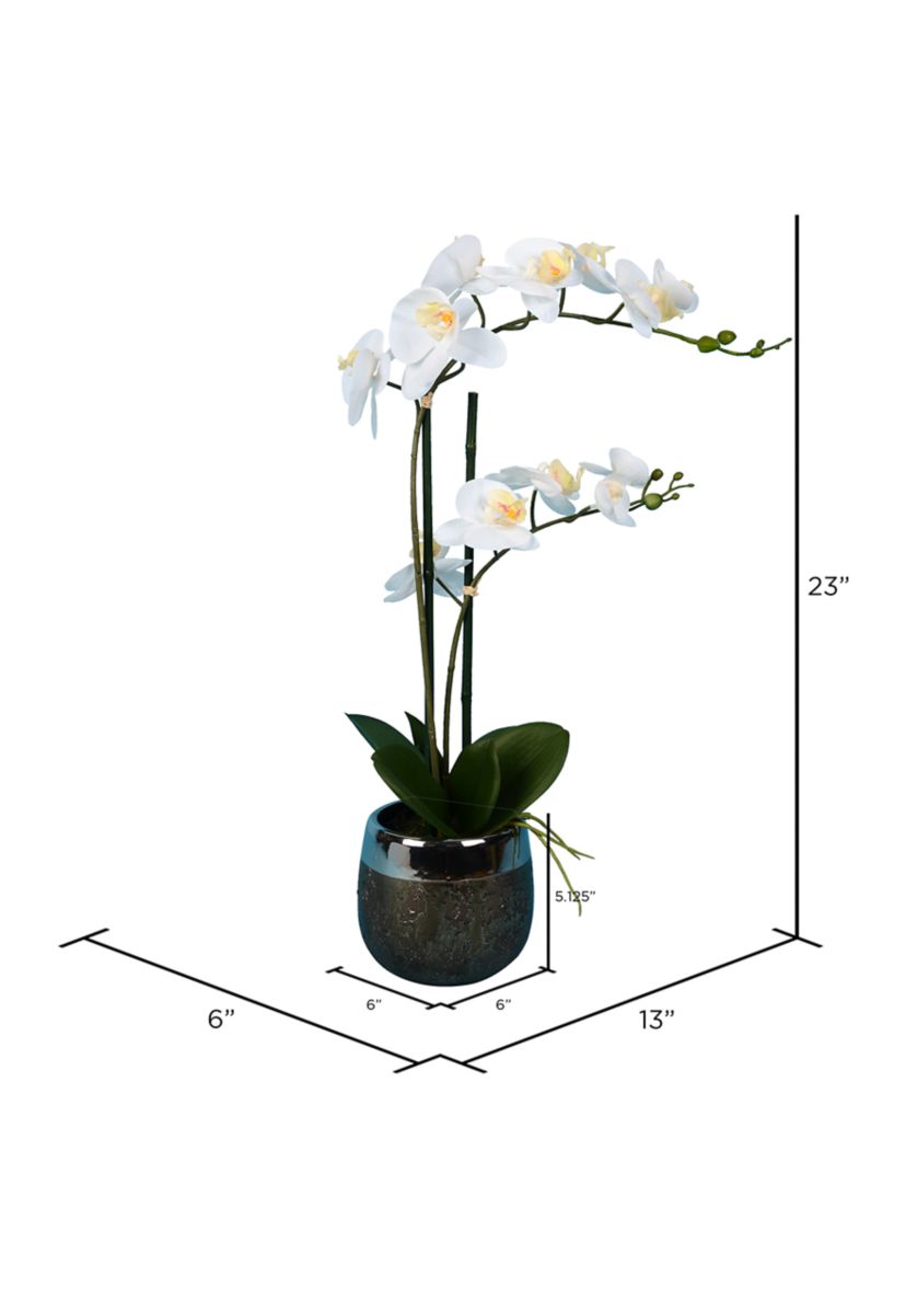 White Phalaenopsis In Metal Pot
