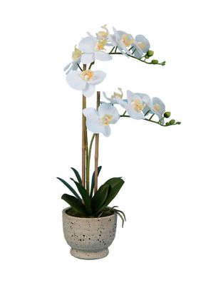 Artificial Phalaenopsis In Cement Pot.