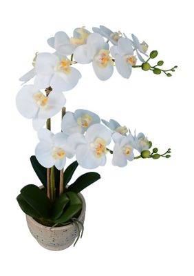 Artificial Phalaenopsis In Cement Pot.