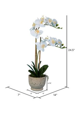 Artificial Phalaenopsis In Cement Pot.