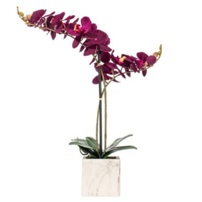 Vickerman 22" Artificial Potted Real Touch Dark Purple Phalaenopsis Spray