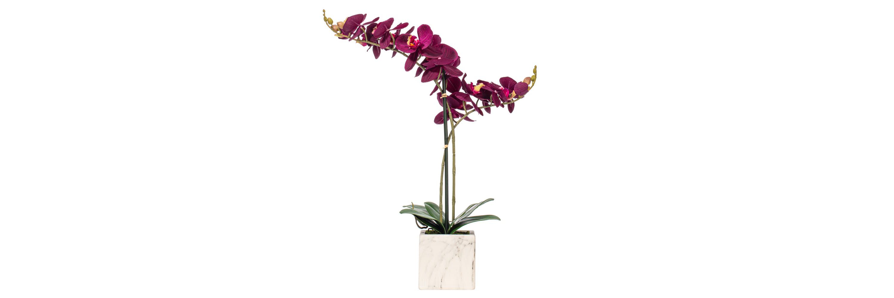 Vickerman 22" Artificial Potted Real Touch Dark Purple Phalaenopsis Spray.