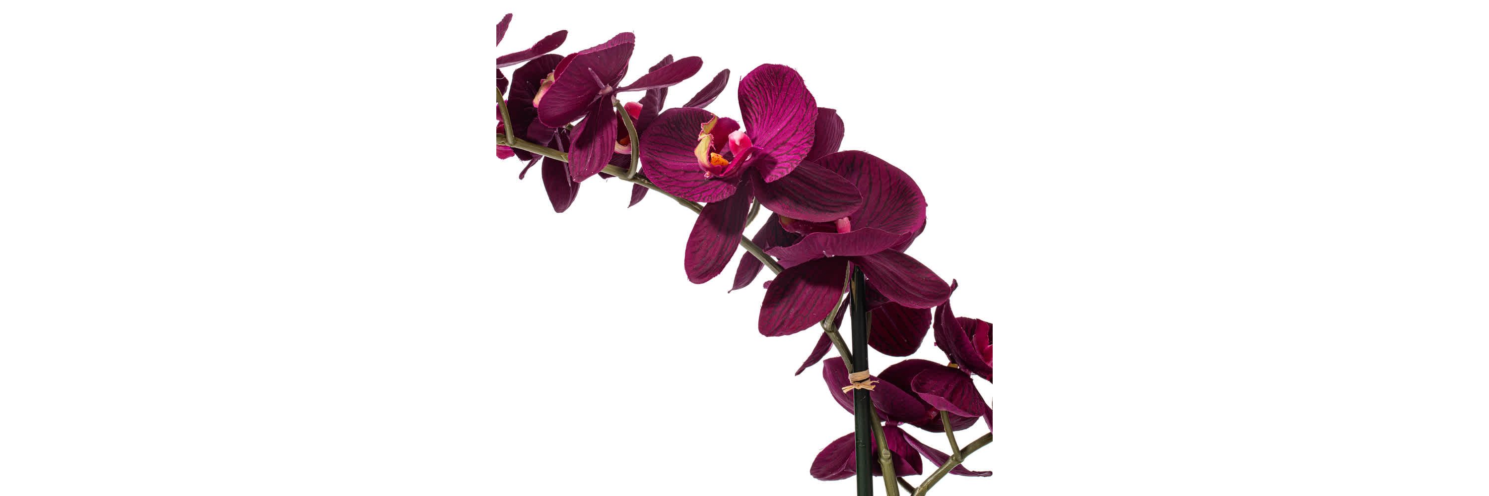 Vickerman 22" Artificial Potted Real Touch Dark Purple Phalaenopsis Spray.