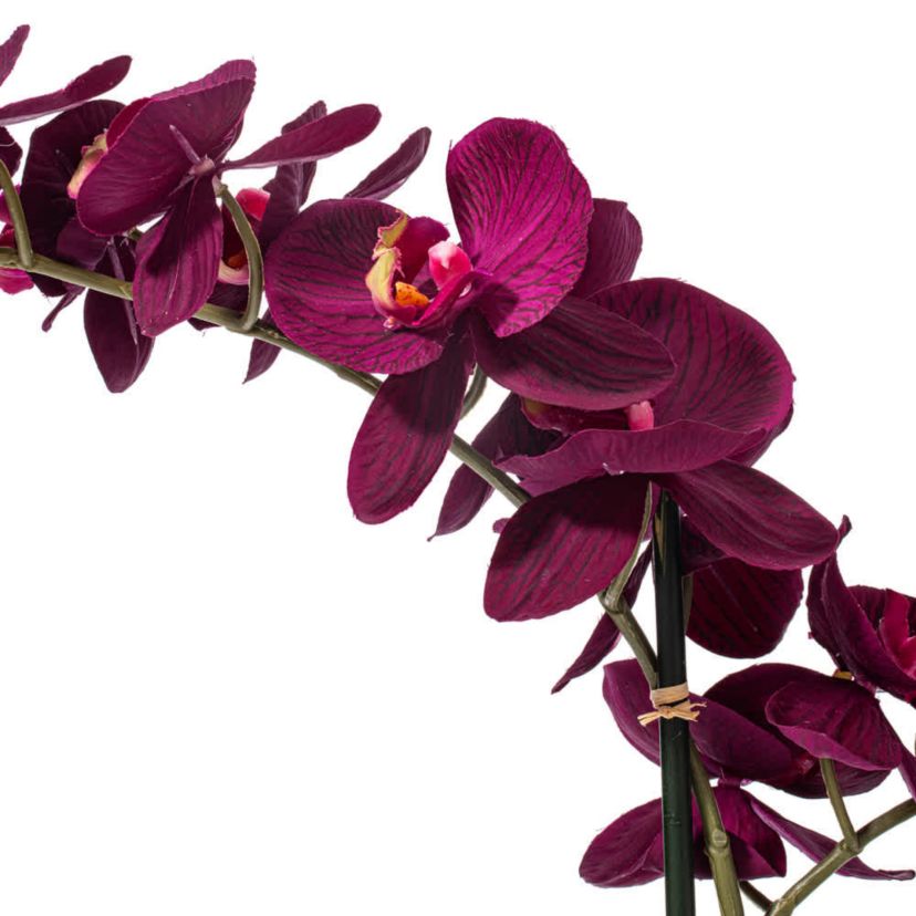 Vickerman 22" Artificial Potted Real Touch Dark Purple Phalaenopsis Spray.