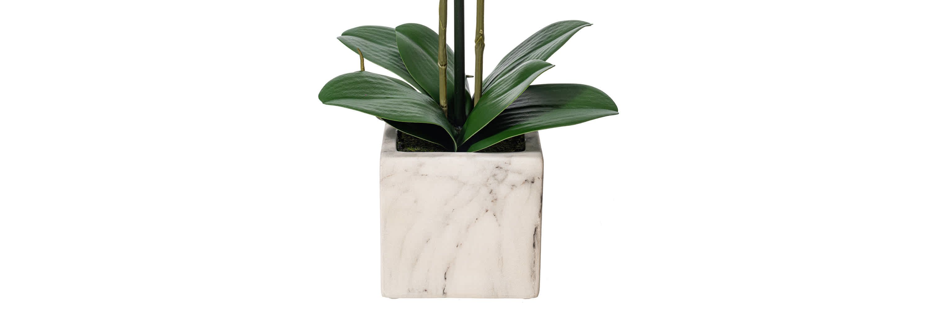 Vickerman 22" Artificial Potted Real Touch Dark Purple Phalaenopsis Spray.