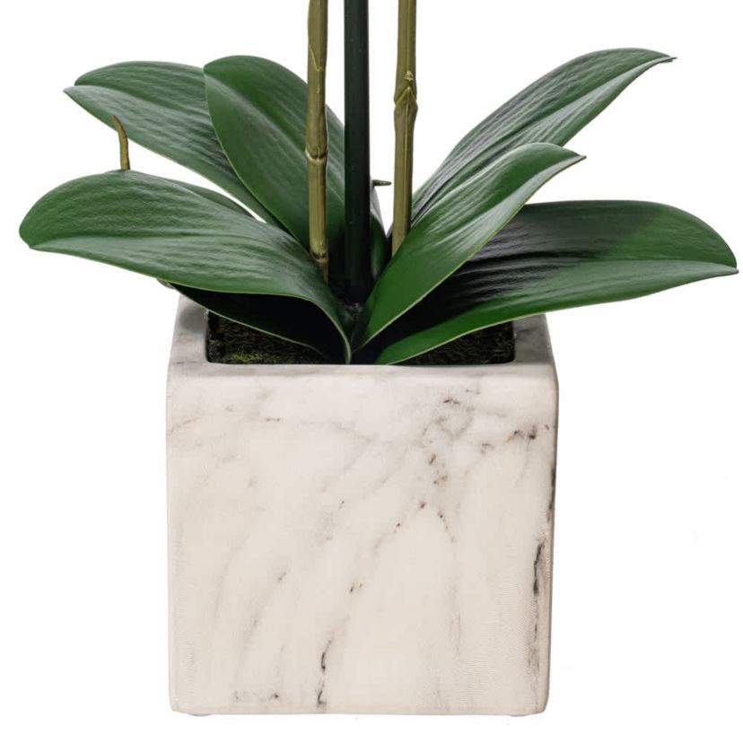 Vickerman 22" Artificial Potted Real Touch Dark Purple Phalaenopsis Spray.