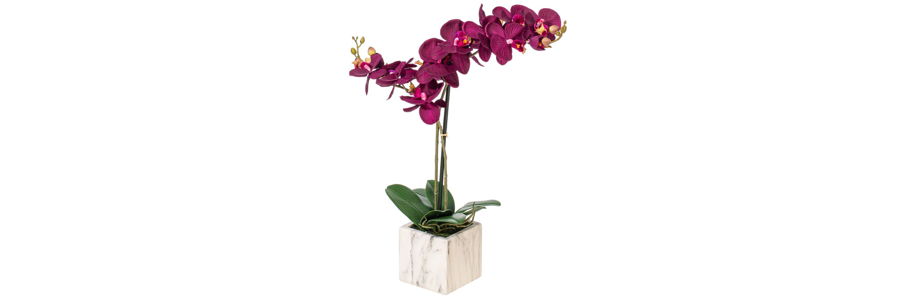 Vickerman 22" Artificial Potted Real Touch Dark Purple Phalaenopsis Spray.
