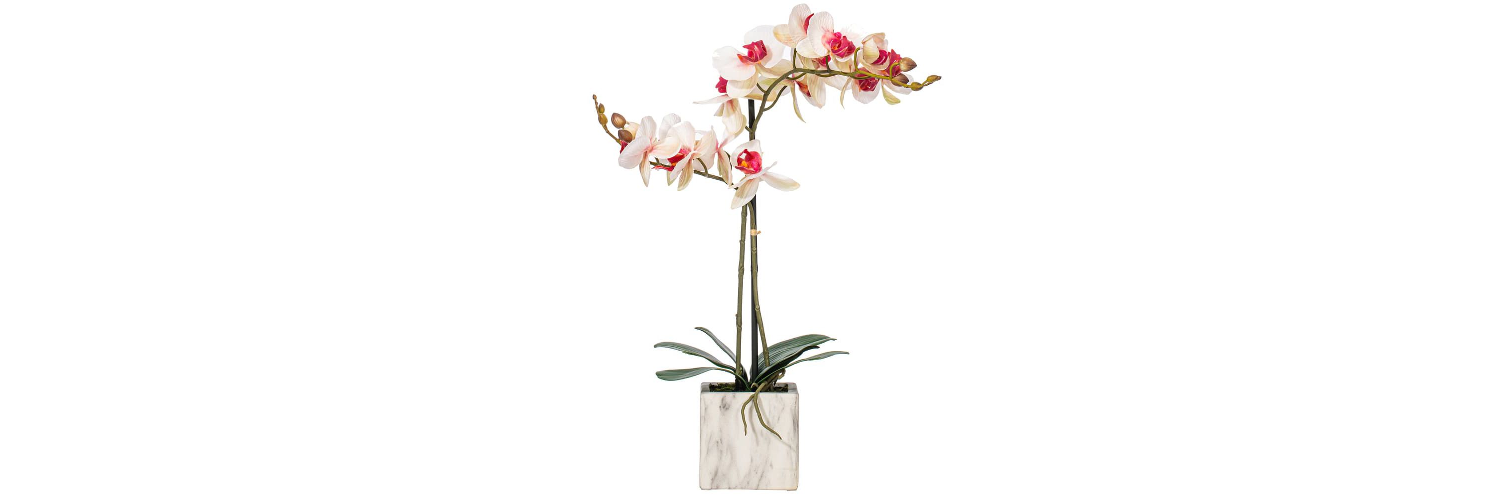 Vickerman 22" Artificial Potted Real Touch Pink and White Phalaenopsis Spray.