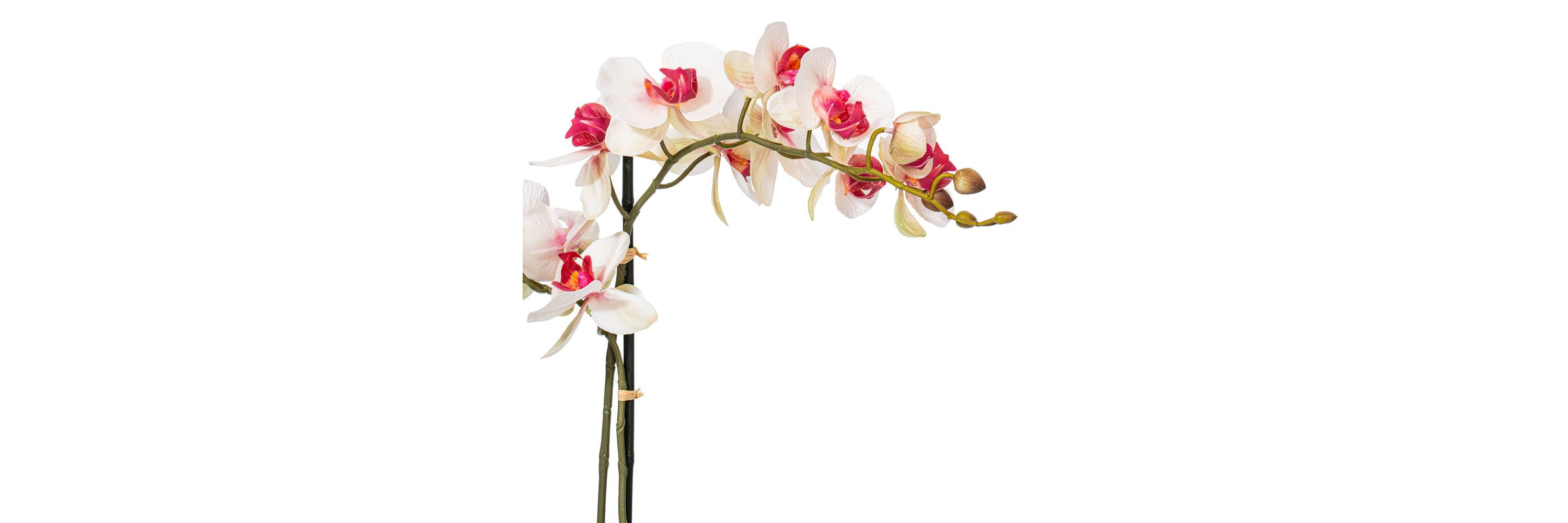 Vickerman 22" Artificial Potted Real Touch Pink and White Phalaenopsis Spray.