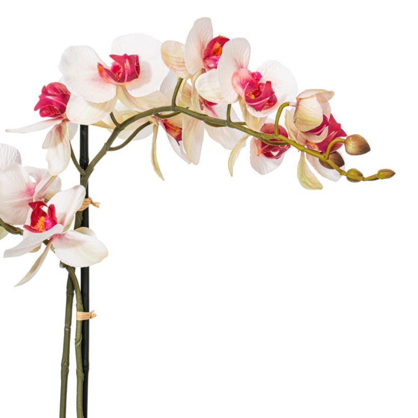 Vickerman 22" Artificial Potted Real Touch Pink and White Phalaenopsis Spray.